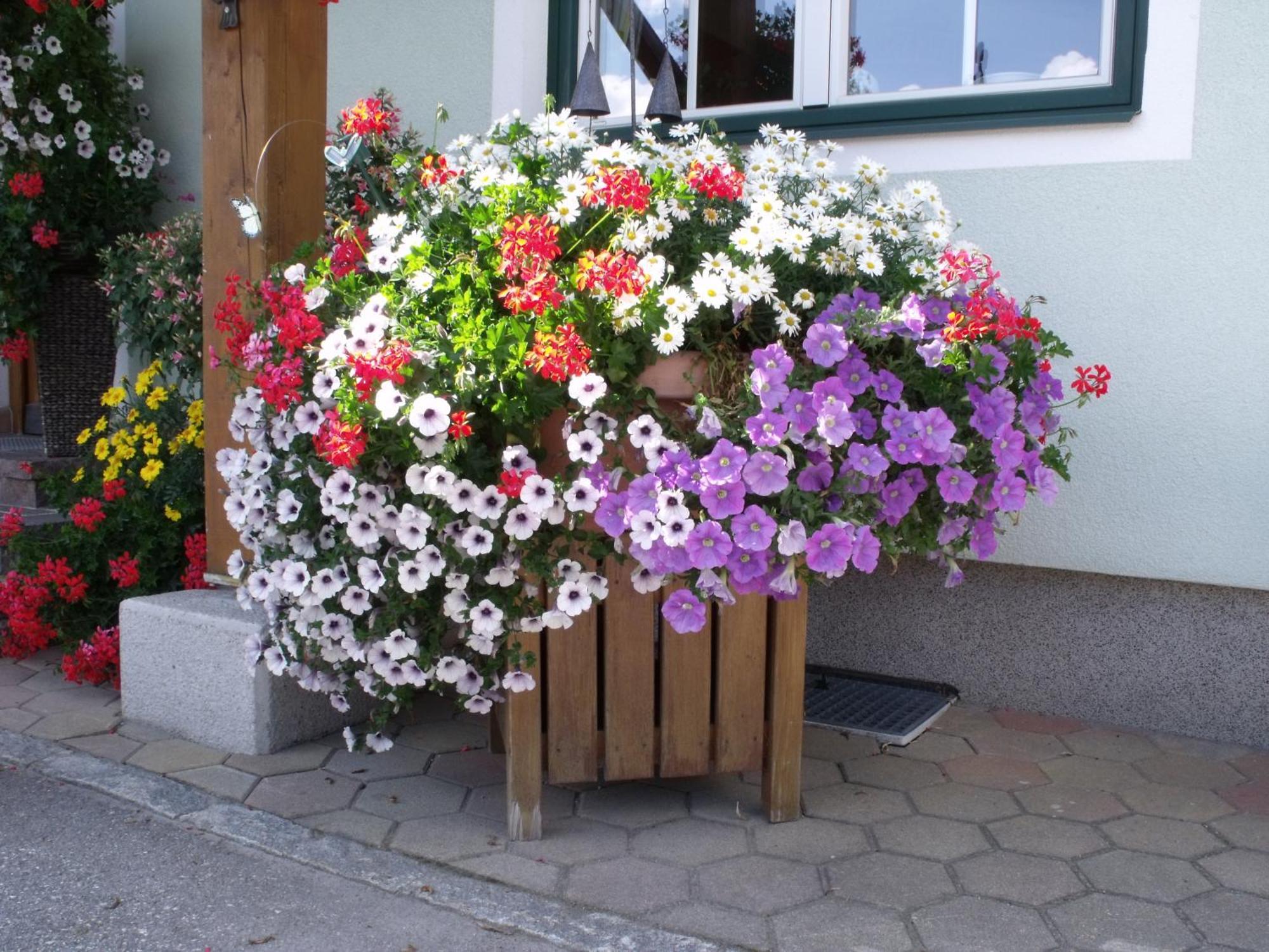 Appartements Bacherhof Schladming Exterior photo